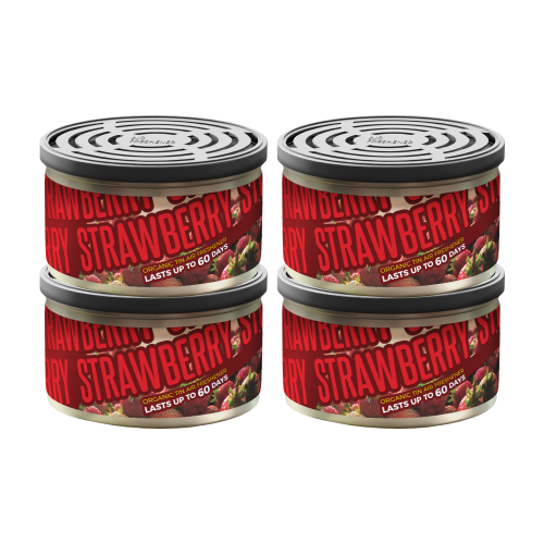 4PK STRAWBERRY FRSH TIN CARDED