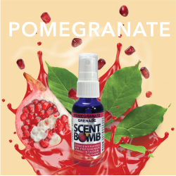 POMEGRANATE  BOTTLE 4PK