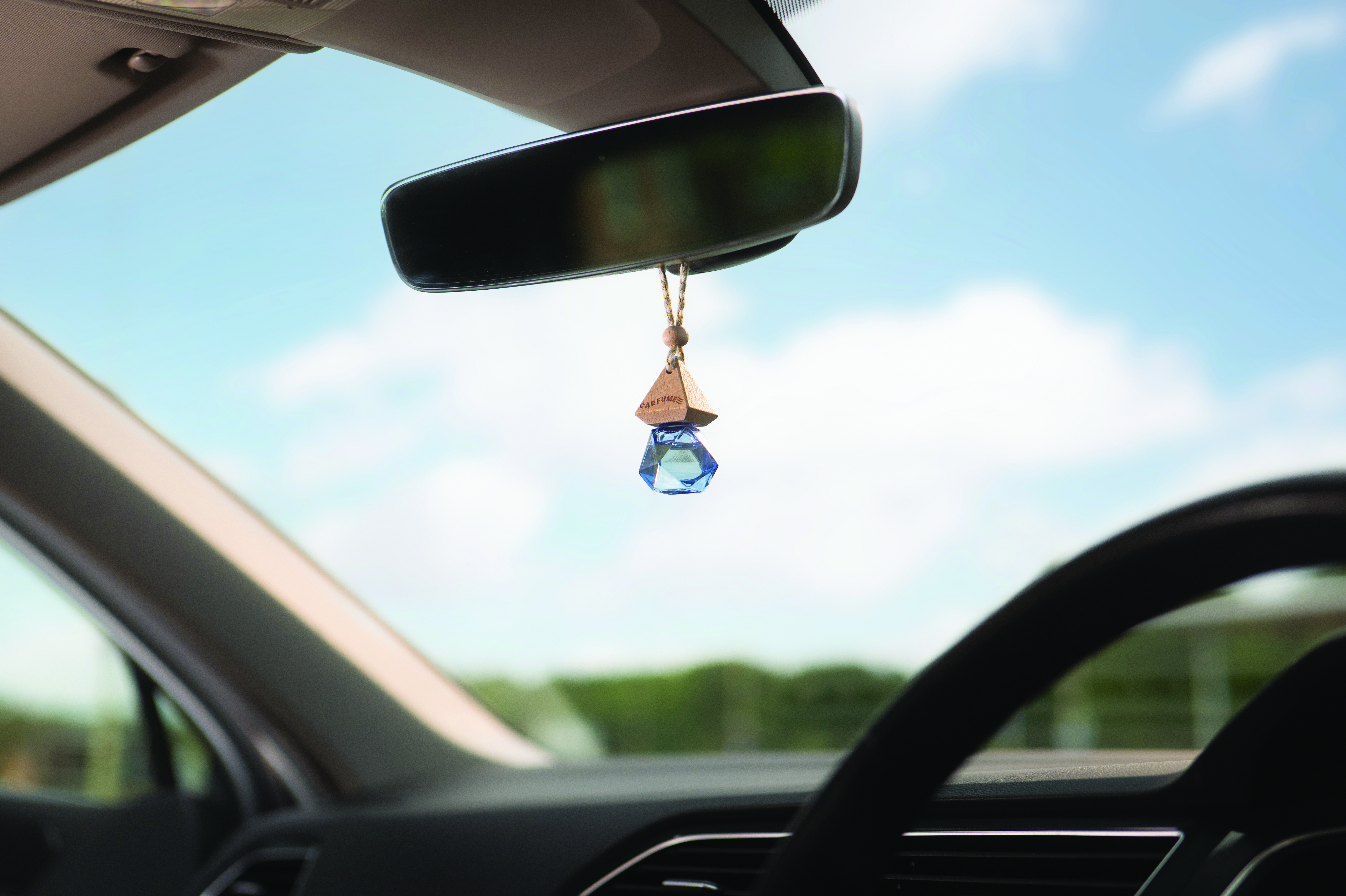 Hanging Air Fresheners